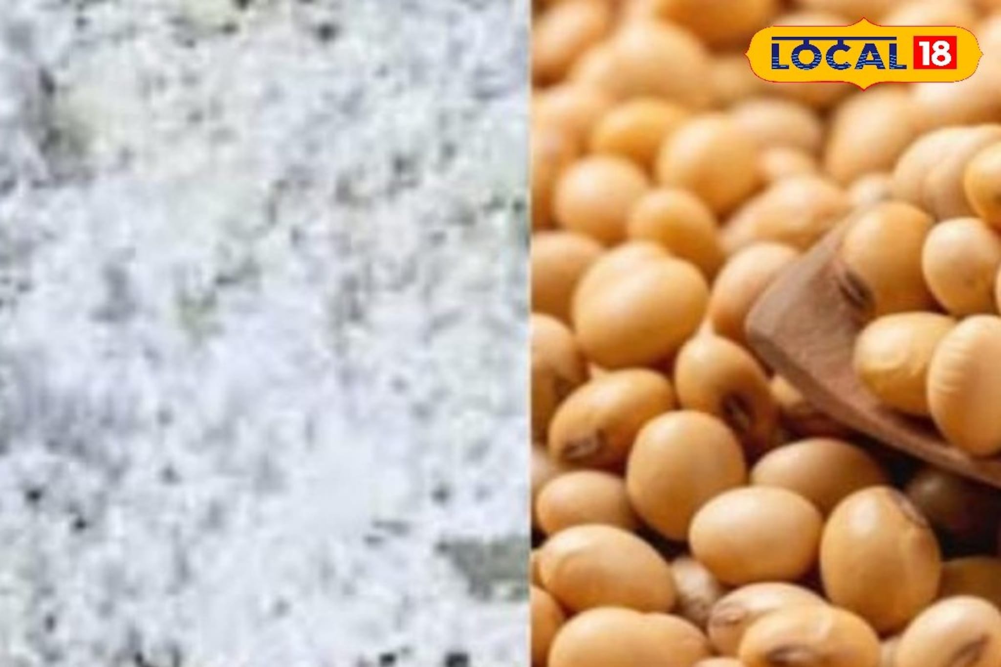 कापसाच्या दरात मोठी उलथापालथ, सोयाबीन आणि तुरीला काय मिळाला भाव? Video कापसाच्या दरात मोठी उलथापालथ, सोयाबीन आणि तुरीला काय मिळाला भाव? Video