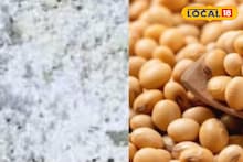 कापसाच्या दरात मोठी उलथापालथ, सोयाबीन आणि तुरीला काय मिळाला भाव? Video