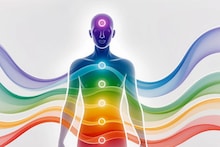 Human Body Facts : तुमच्या शरीरात किती छिद्रं? आकडा वाचून विश्वास बसणार नाही; महिलांमध्ये तर पुरुषांपेक्षा जास्त