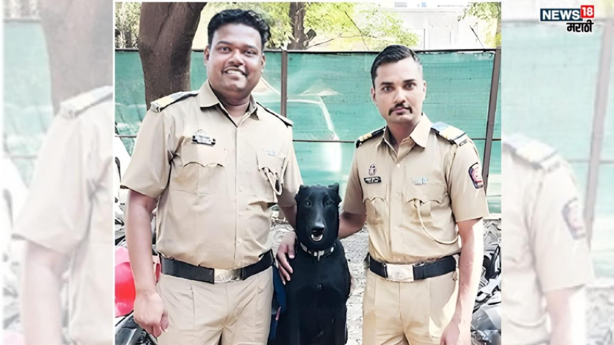 चार पायांचा 'शेरलॉक'! ब्लॅकीनं असा उघड केला काळजाचा थरकाप उडवणारा पत्नी-प्रियकराचा गुन्हा