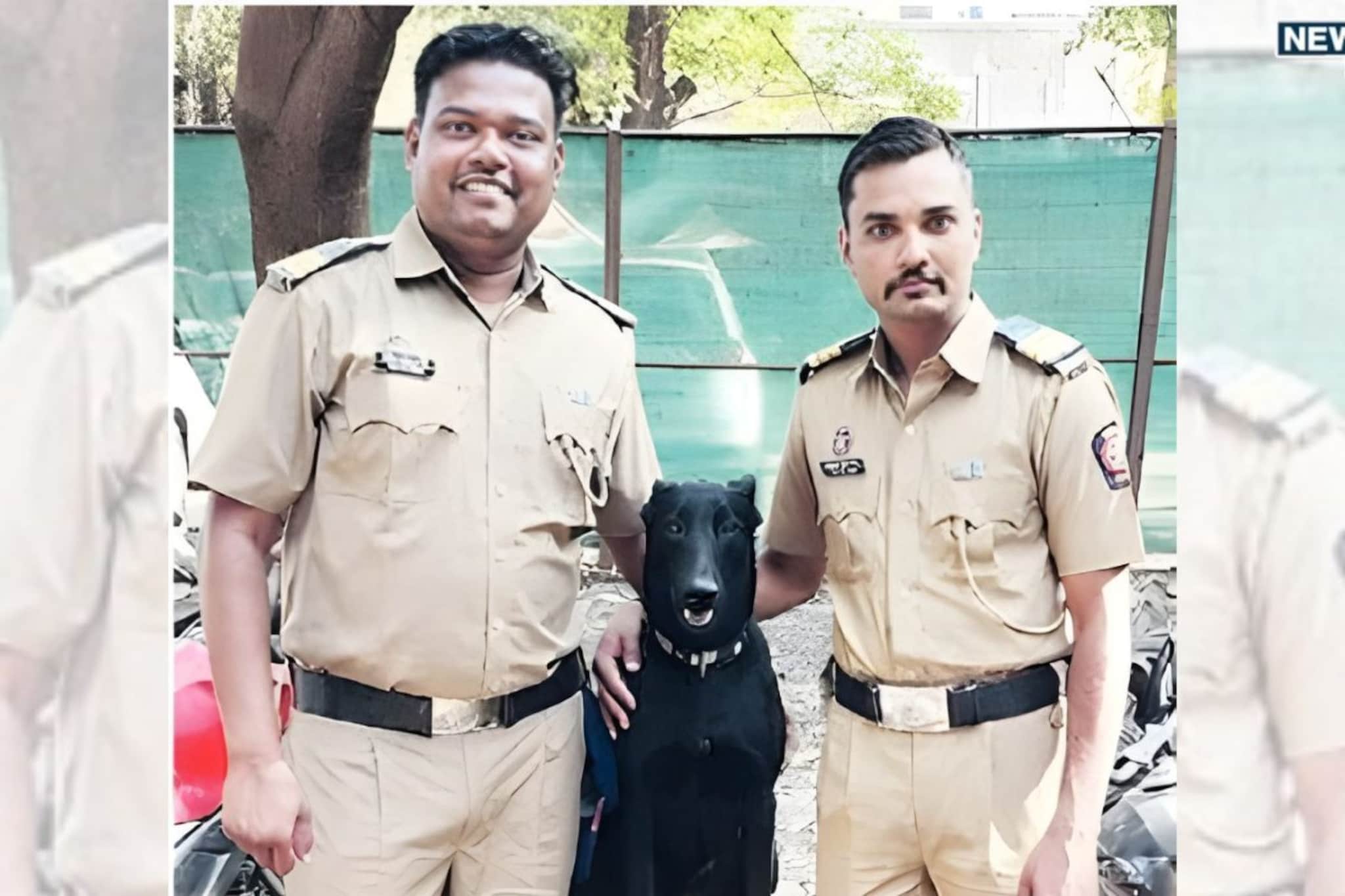 चार पायांचा 'शेरलॉक'! ब्लॅकीनं असा उघड केला पत्नी-प्रियकराचा गुन्हा