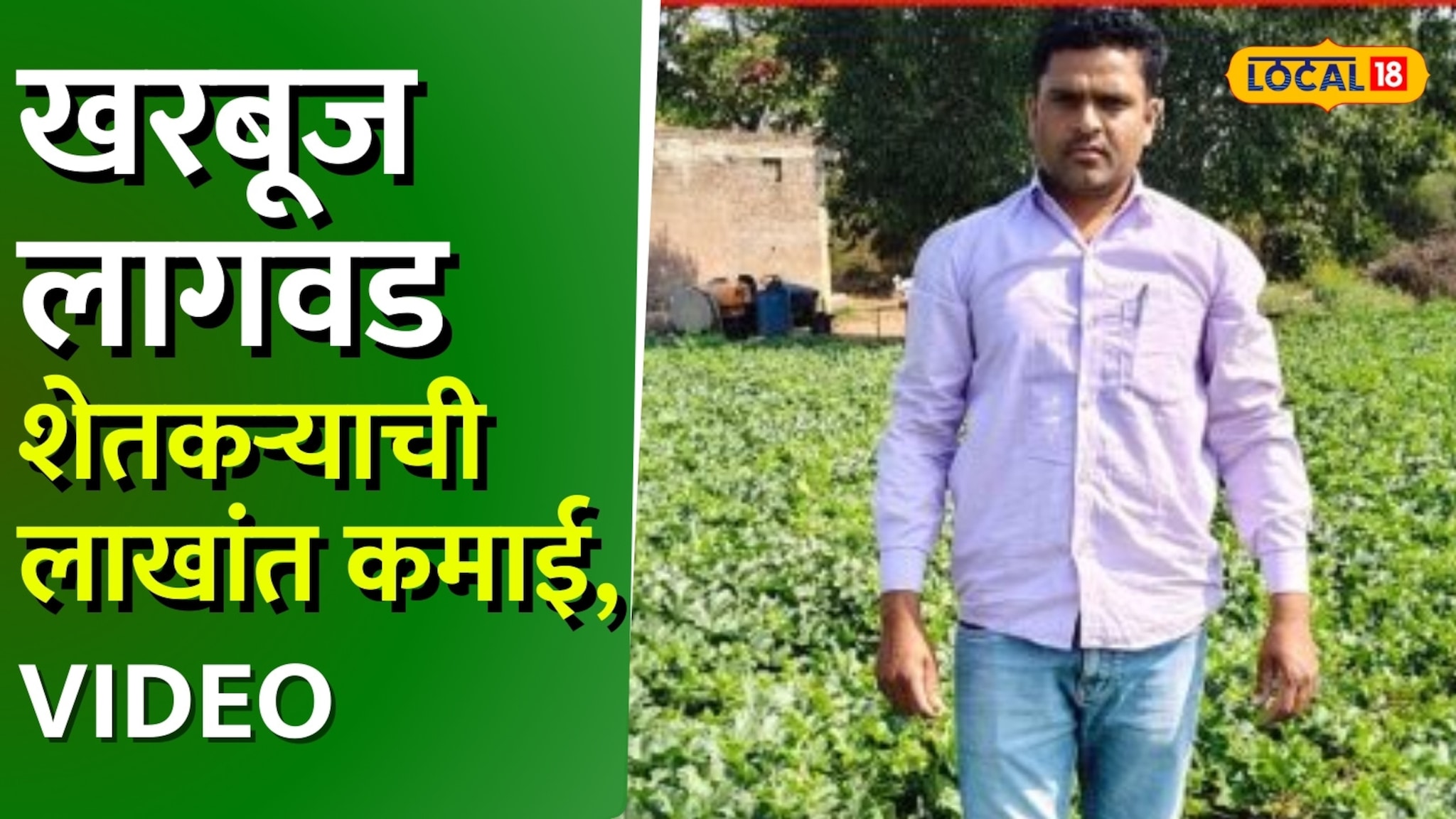 Success Story : पारंपरिक शेतीला दिला फाटा, केली खरबूज लागवड, शेतकऱ्याची लाखांत कमाई, Video