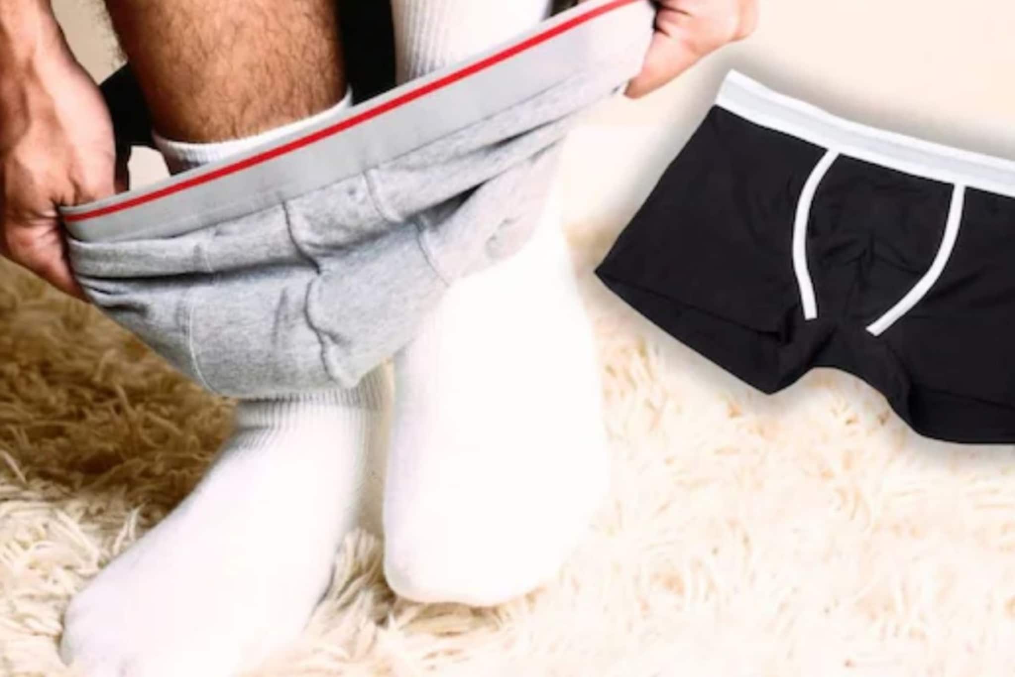 Boxer Vs Briefs : बॉक्सर की ब्रिफ? पुरुषांसाठी कोणती अंडरवेअर जास्त चांगली? Boxer Vs Briefs : बॉक्सर की ब्रिफ? पुरुषांसाठी कोणती अंडरवेअर जास्त चांगली?