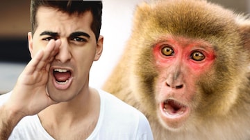 माकडासारखं ओरडा आणि Government Job मिळवा; थेट विधानसभेत नोकरीची संधी