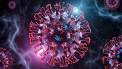 Nipah Virus Alert: Two Cases Detected in West Bengal, Centre Rushes Support