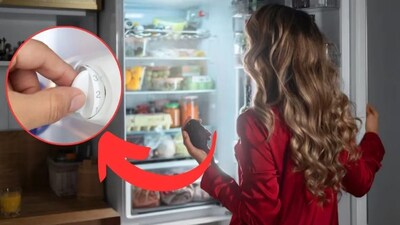 फ्रिज विंटर सेटिंग