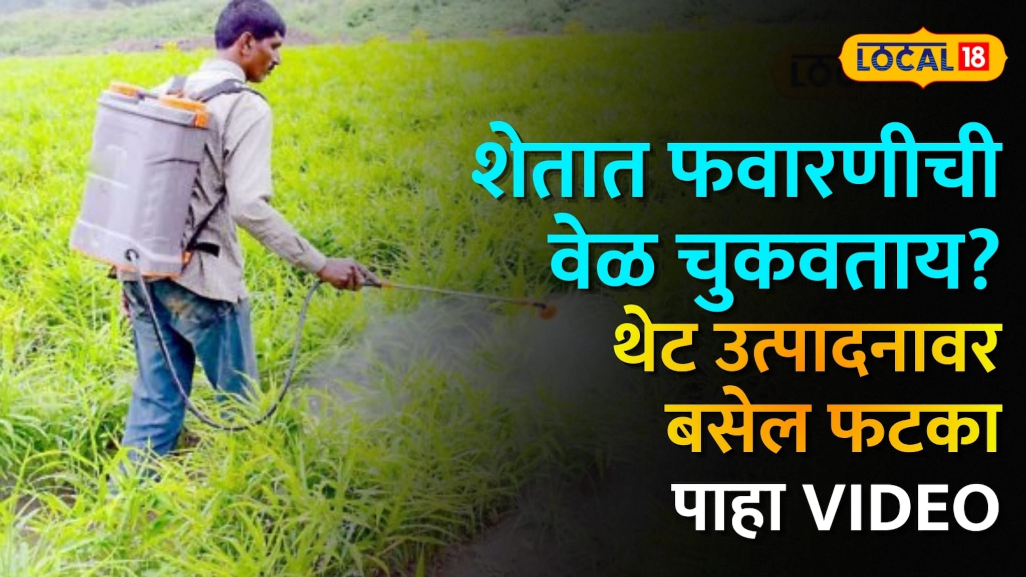 शेतात फवारणीची वेळ चुकवताय? थेट उत्पादनावर बसेल फटका, कृषी तज्ज्ञांनी दिला महत्त्वाचा सल्ला