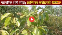 पारंपरिक शेती सोडा हा नवीन फॉर्म्युला वापरून व्हा करोडपती!Video 