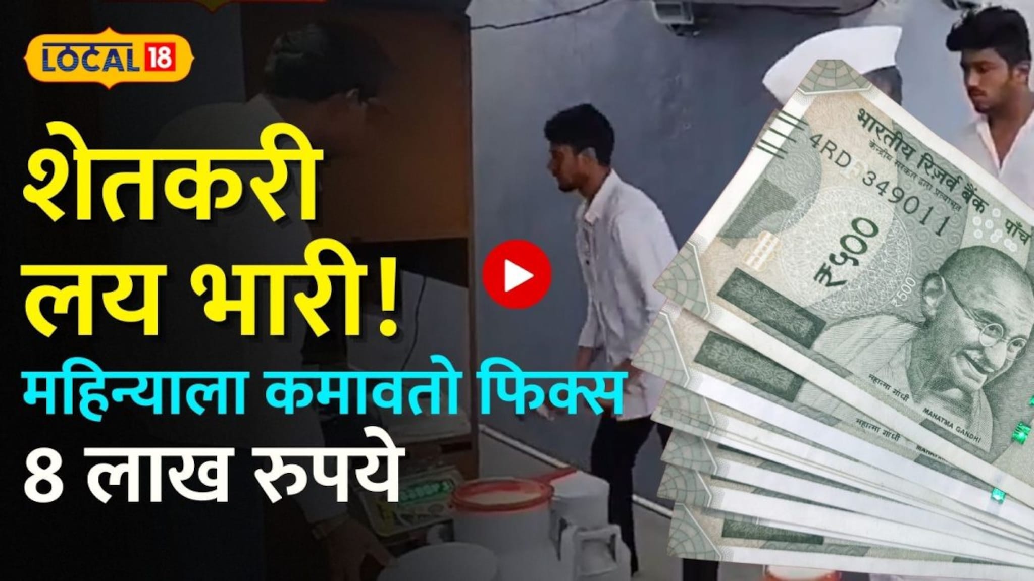 Farmer Success Story: शेतकरी लय भारी! महिन्याला कमावतो फिक्स 8 लाख रुपये, वर्षाचा आकडा किती?