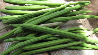 Krushi Market Rate: शेवग्याच्या शेंगांच्या भावाने शेतकरी मालामाल, इतर भाजीपालांची परिस्थिती काय?