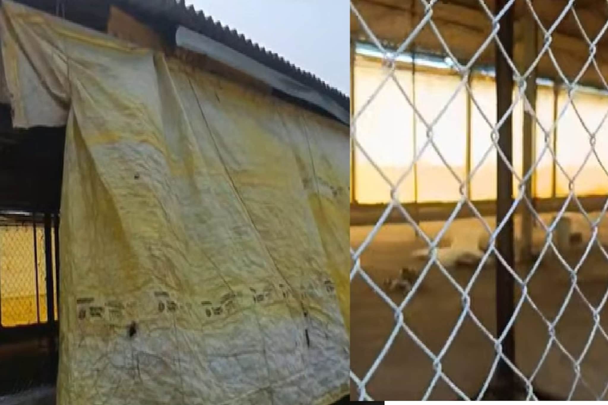 साताऱ्यात अमली पदार्थांवर पुन्हा मोठी कारवाई, पुण्याच्या DRI विभागाची धाड