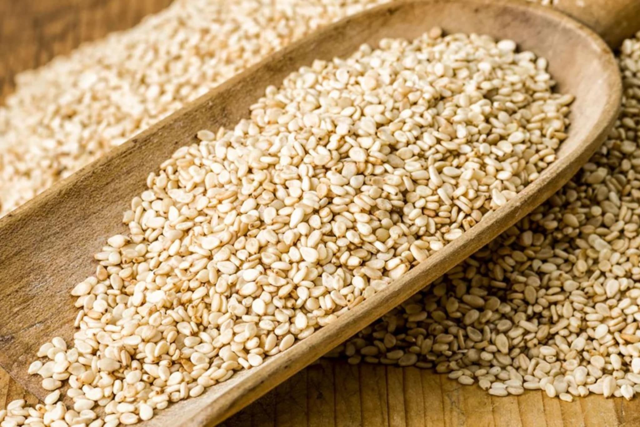 कडाक्याच्या थंडीमध्ये तीळाचा आधार, हिवाळ्यात तीळ खाण्याचे फायदे तुम्हाला माहितीय कडाक्याच्या थंडीमध्ये तीळाचा आधार, हिवाळ्यात तीळ खाण्याचे फायदे तुम्हाला माहितीय