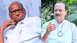 शरद पवार-अजित पवार