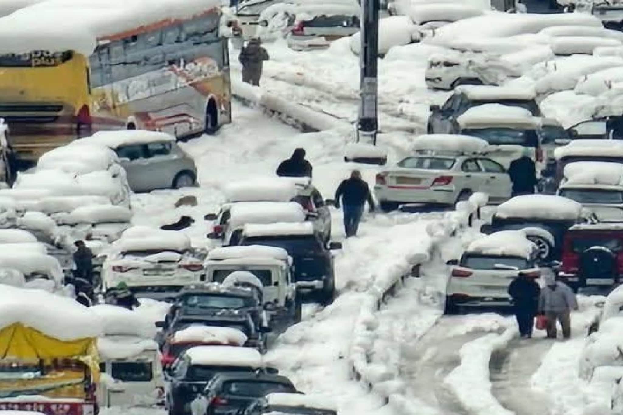 जगभरात हाहाकार! अमेरिकेत हिमवादळ, का पडतोय इतका जीवघेणा बर्फ?