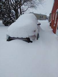 जगभरात हाहाकार! अमेरिकेत हिमवादळ, का पडतोय इतका जीवघेणा बर्फ? जगभरात हाहाकार! अमेरिकेत हिमवादळ, का पडतोय इतका जीवघेणा बर्फ?