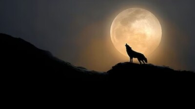 प्रतीकात्मक फोटो