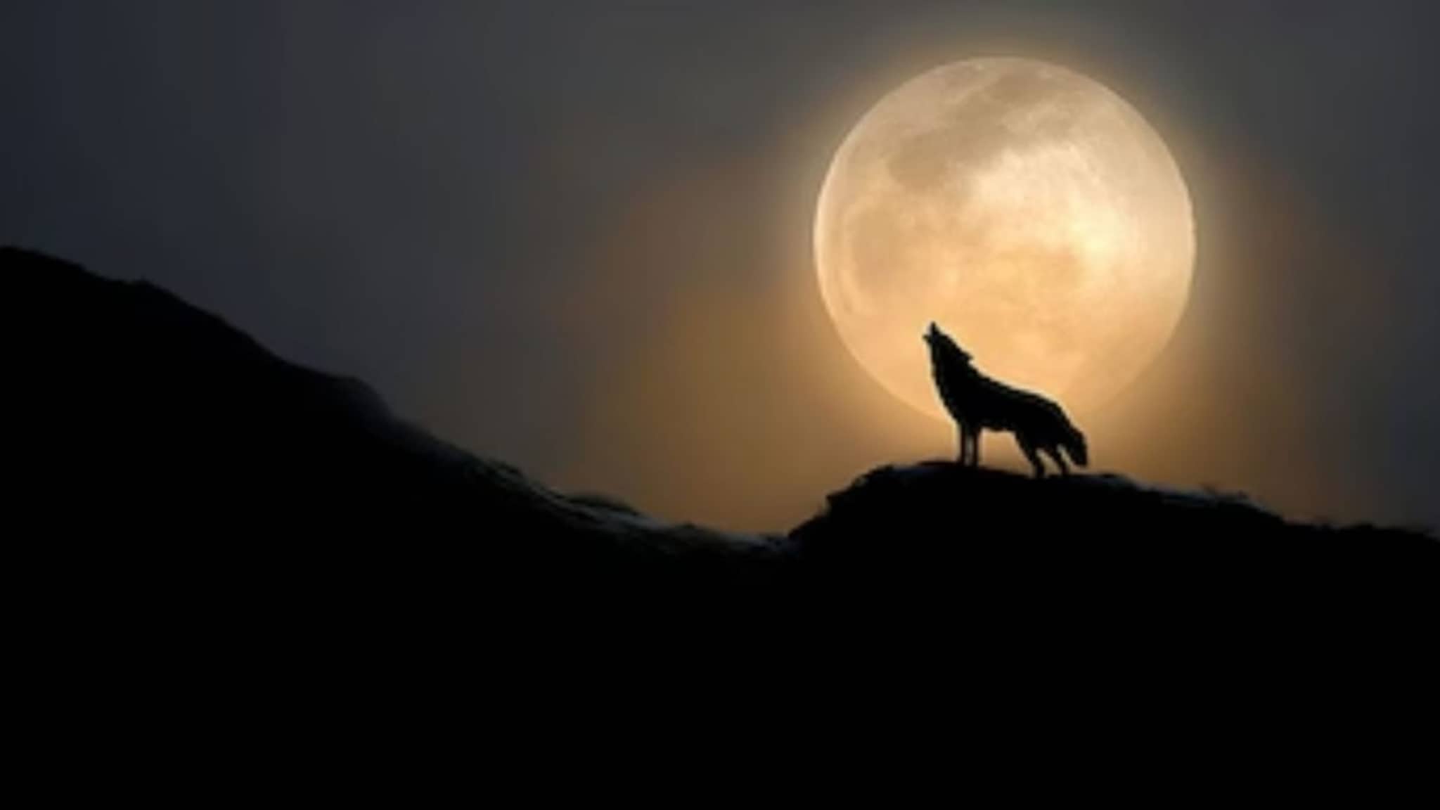 साधी नाहीये नव्या वर्षाची सुरुवात!  2026 चा पहिलाच आठवडा, तारीख 3 जानेवारी, काहीतरी घडणाराय