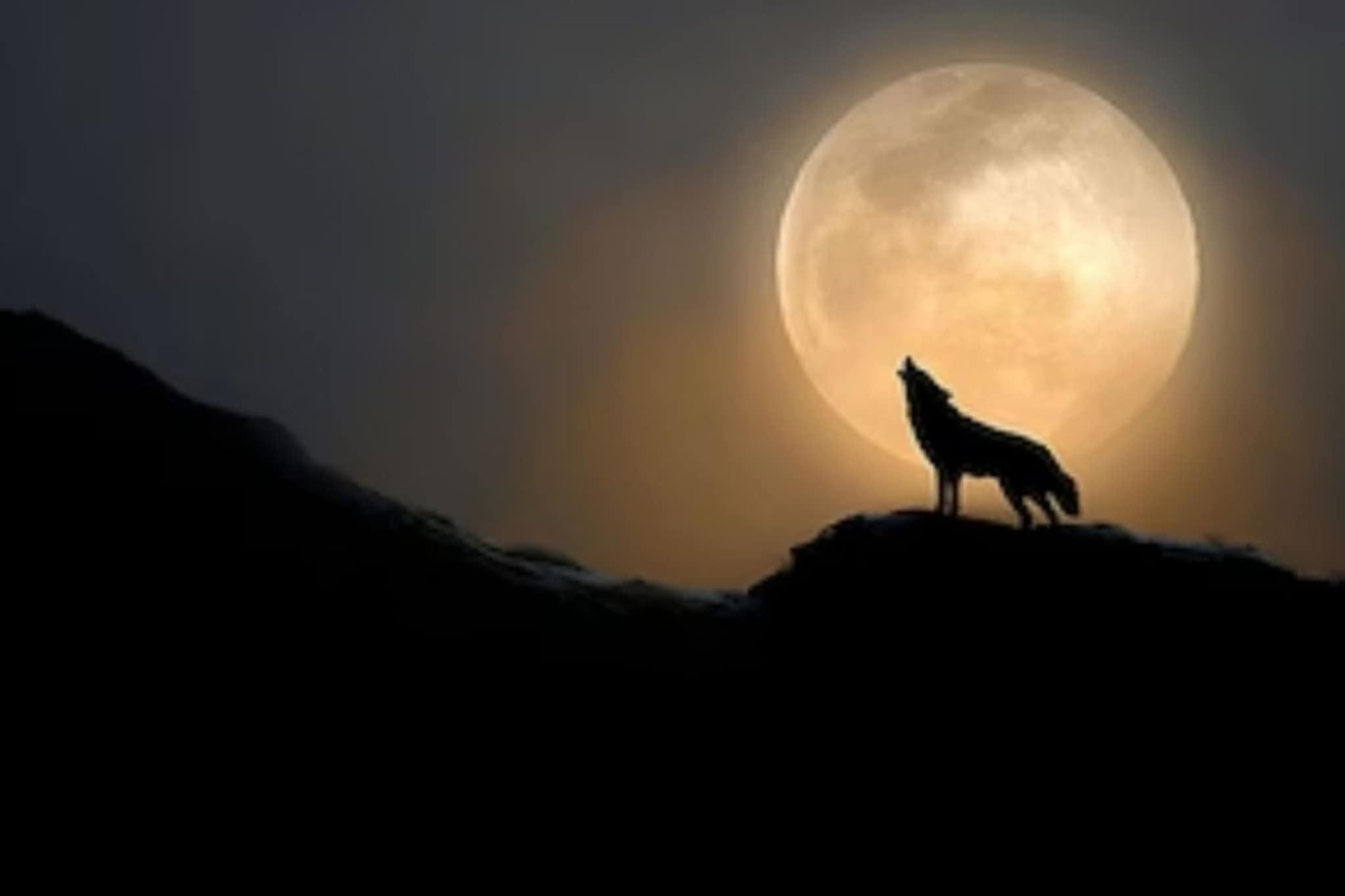 साधी नाहीये 2026 वर्षाची सुरुवात! पहिलाच आठवडा, तारीख 3 जानेवारी, काही घडणाराय