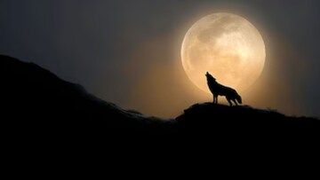 साधी नाहीये 2026 वर्षाची सुरुवात! पहिलाच आठवडा, तारीख 3 जानेवारी, काही घडणाराय