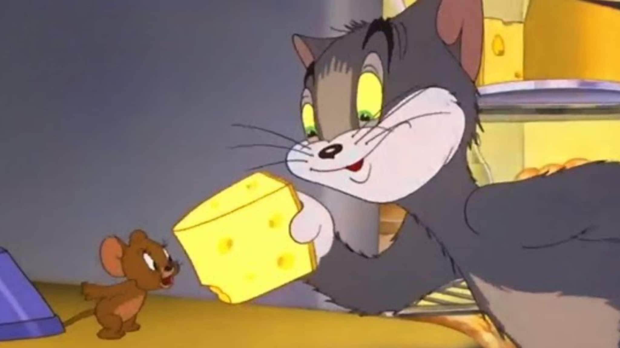 Swiss Cheese Day : टॉम अँड जेरी ज्या चीझसाठी भांडायचे त्या चीझवर होल का माहितीये?