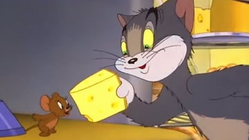 Cheese Day : टॉम अँड जेरी ज्या चीझसाठी भांडायचे त्या चीझवर होल का माहितीये? Cheese Day : टॉम अँड जेरी ज्या चीझसाठी भांडायचे त्या चीझवर होल का माहितीये?