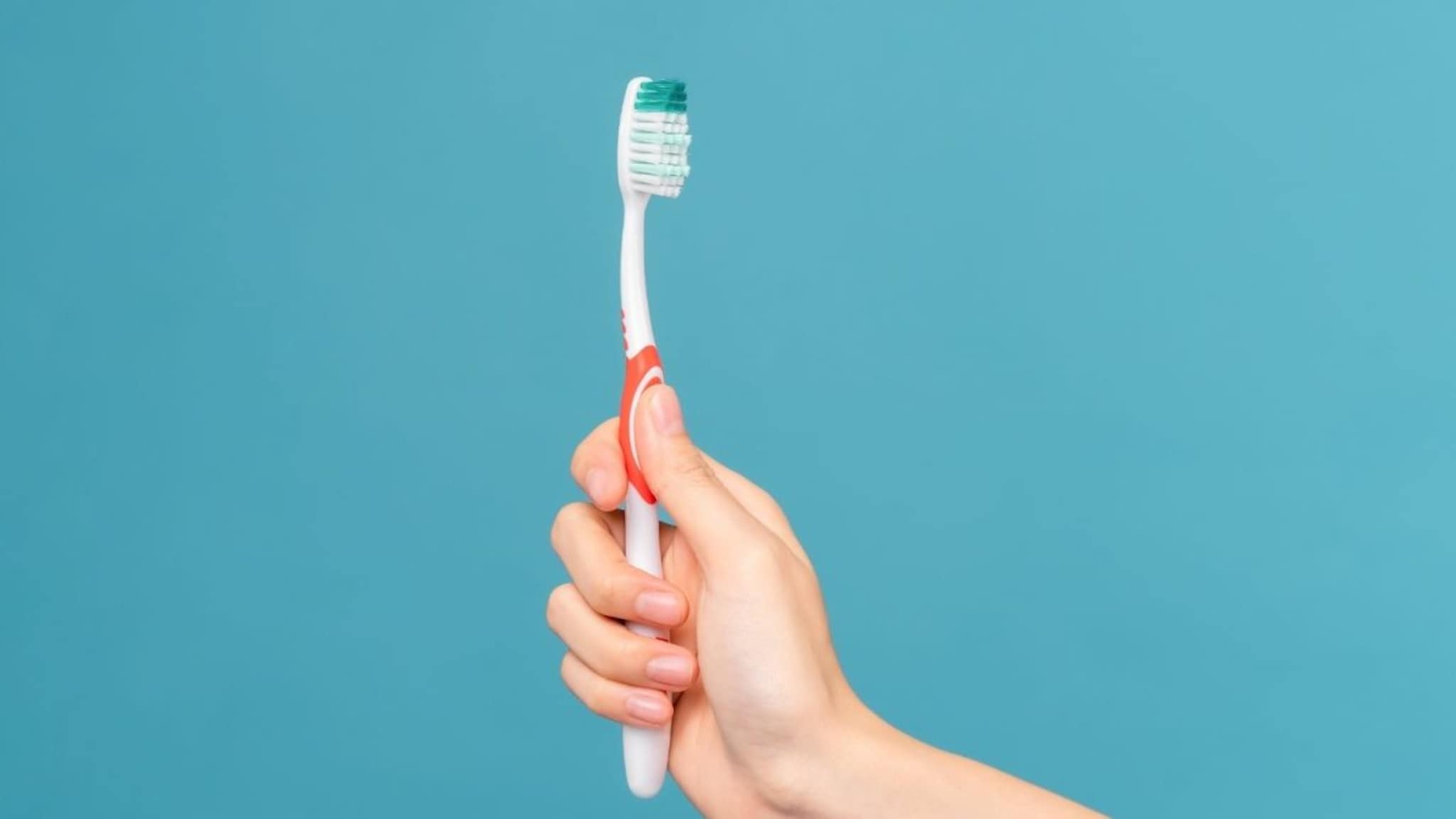 Toothbrush : टूथब्रशचे ब्रिसल्स दोन कलरचे का असतात? फक्त डिझाइन नाही तर हे तुमच्या कामाचं Toothbrush : टूथब्रशचे ब्रिसल्स दोन कलरचे का असतात? फक्त डिझाइन नाही तर हे तुमच्या कामाचं