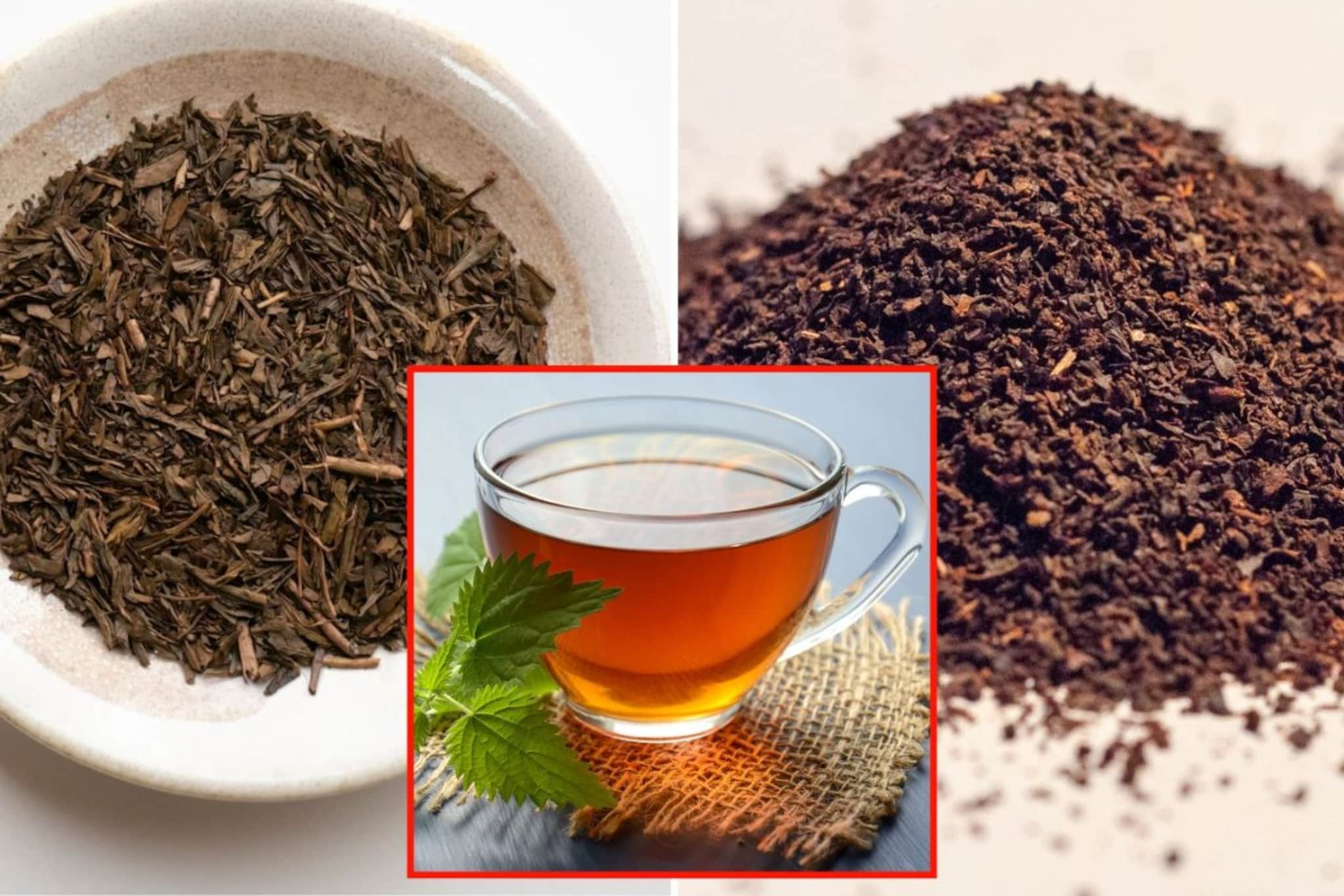 चहा प्यायला आवडतं, पण तुमची चहा पत्ती शुद्ध आहे ना? या टेस्टने काही सेकंदात ओळखा चहा प्यायला आवडतं, पण तुमची चहा पत्ती शुद्ध आहे ना? या टेस्टने काही सेकंदात ओळखा