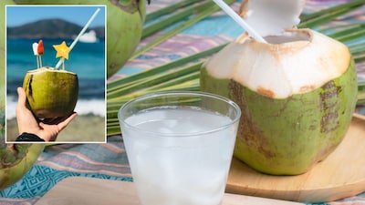 नारळ पाणी पिण्याची सर्वोत्तम वेळ