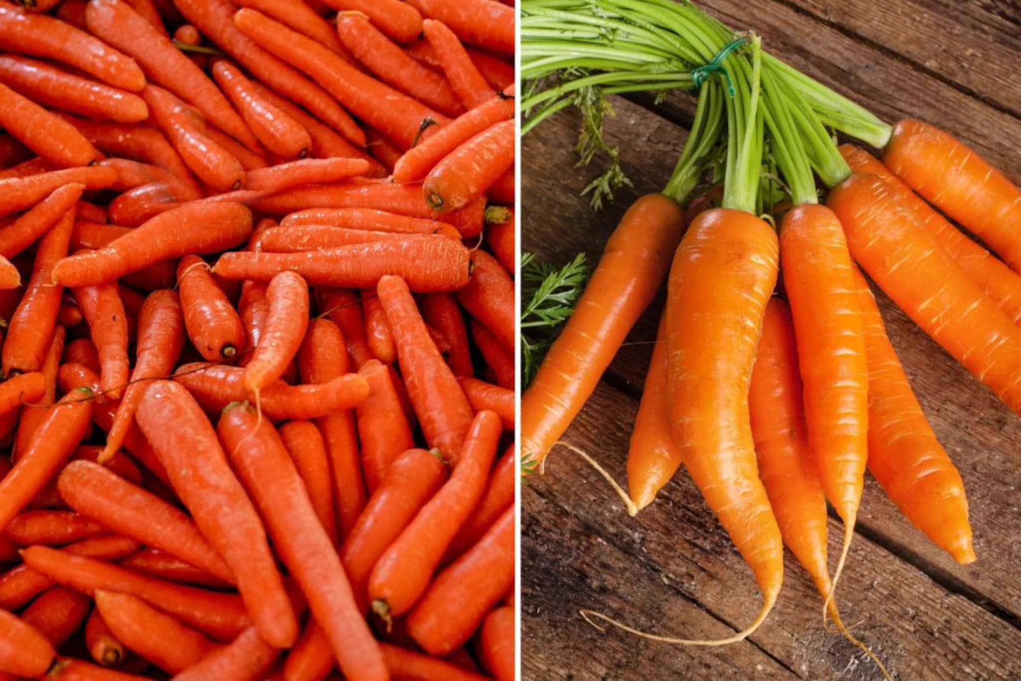 लाल की केशरी, कोणते गाजर खाणं फायदेशीर? 'या' टिप्स फॉलो करा आणि निवडा गोड गाजर!