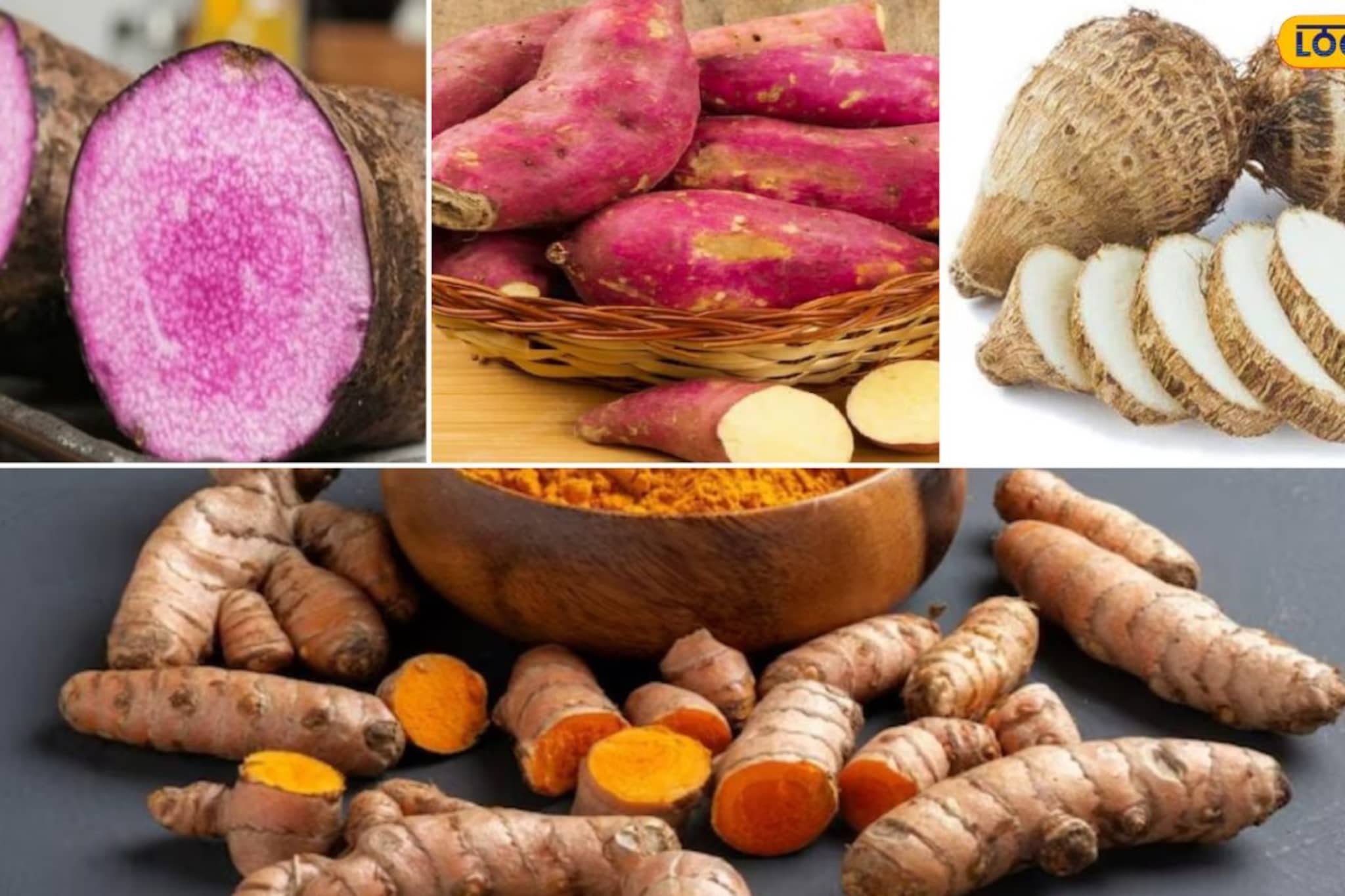 हिवाळ्यात 'ही' 5 कंदमुळं नक्की खावी; शरीराला मिळते उब, हंगामी आजारही राहतात दूर!