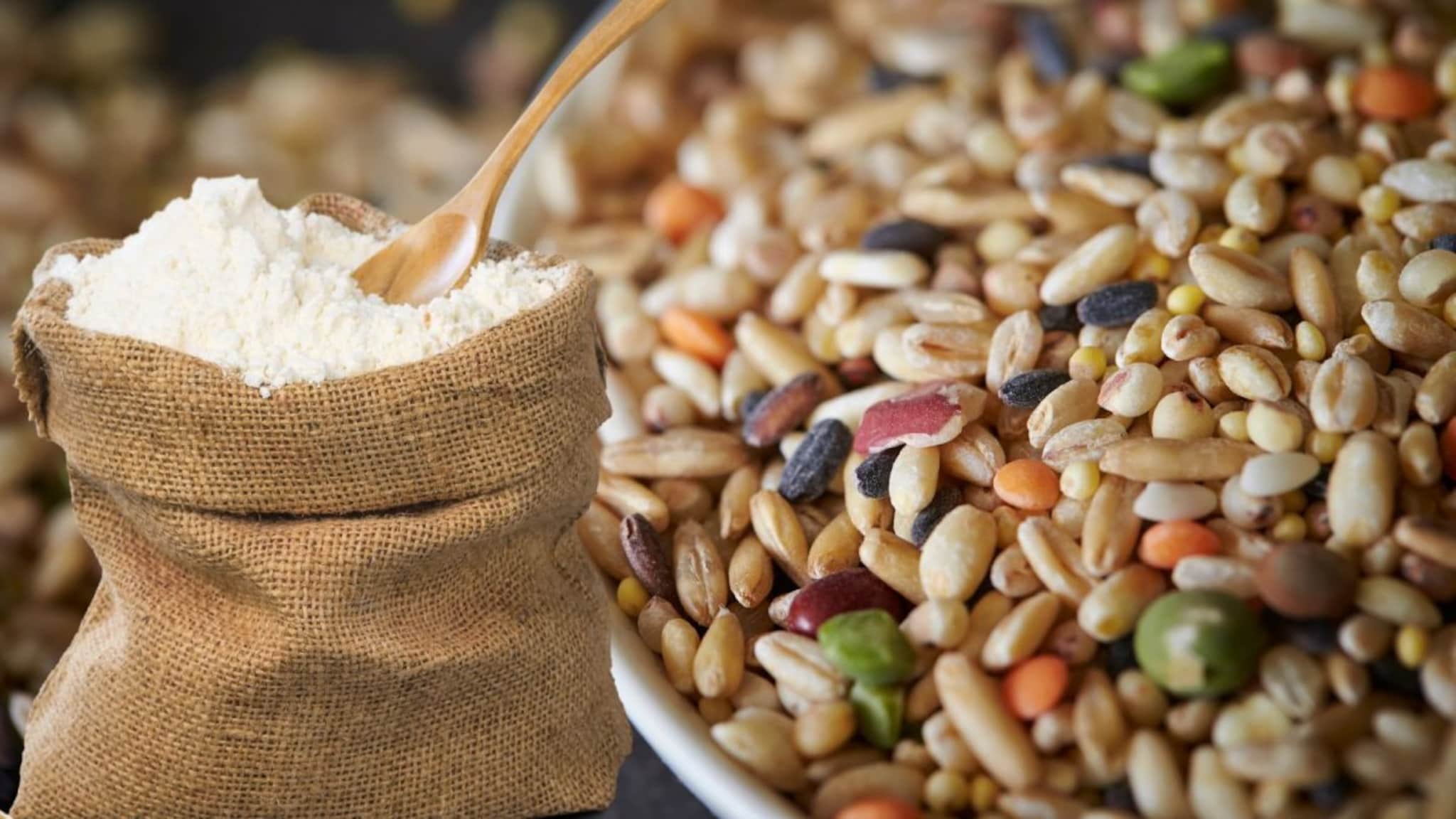 Multigrain flour : बाजारातून भेसळयुक्त मल्टीग्रेन पीठ घेण्यापेक्षा घरीच बनवा! फक्त धान्यांचे हे प्रमाण लक्षात ठेवा