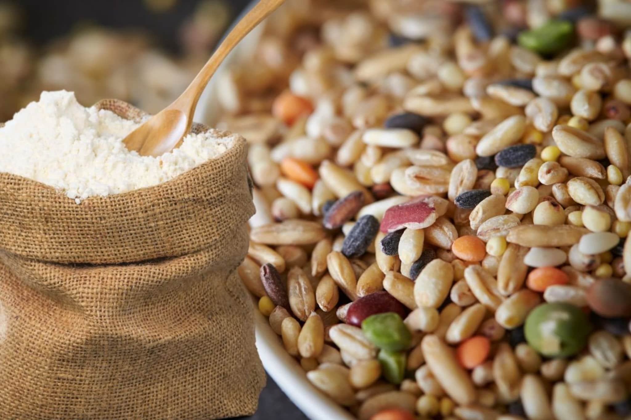 मल्टीग्रेन पीठ खरेदी करण्यापेक्षा घरीच बनवा! फक्त धान्याचे हे प्रमाण लक्षात ठेवा मल्टीग्रेन पीठ खरेदी करण्यापेक्षा घरीच बनवा! फक्त धान्याचे हे प्रमाण लक्षात ठेवा