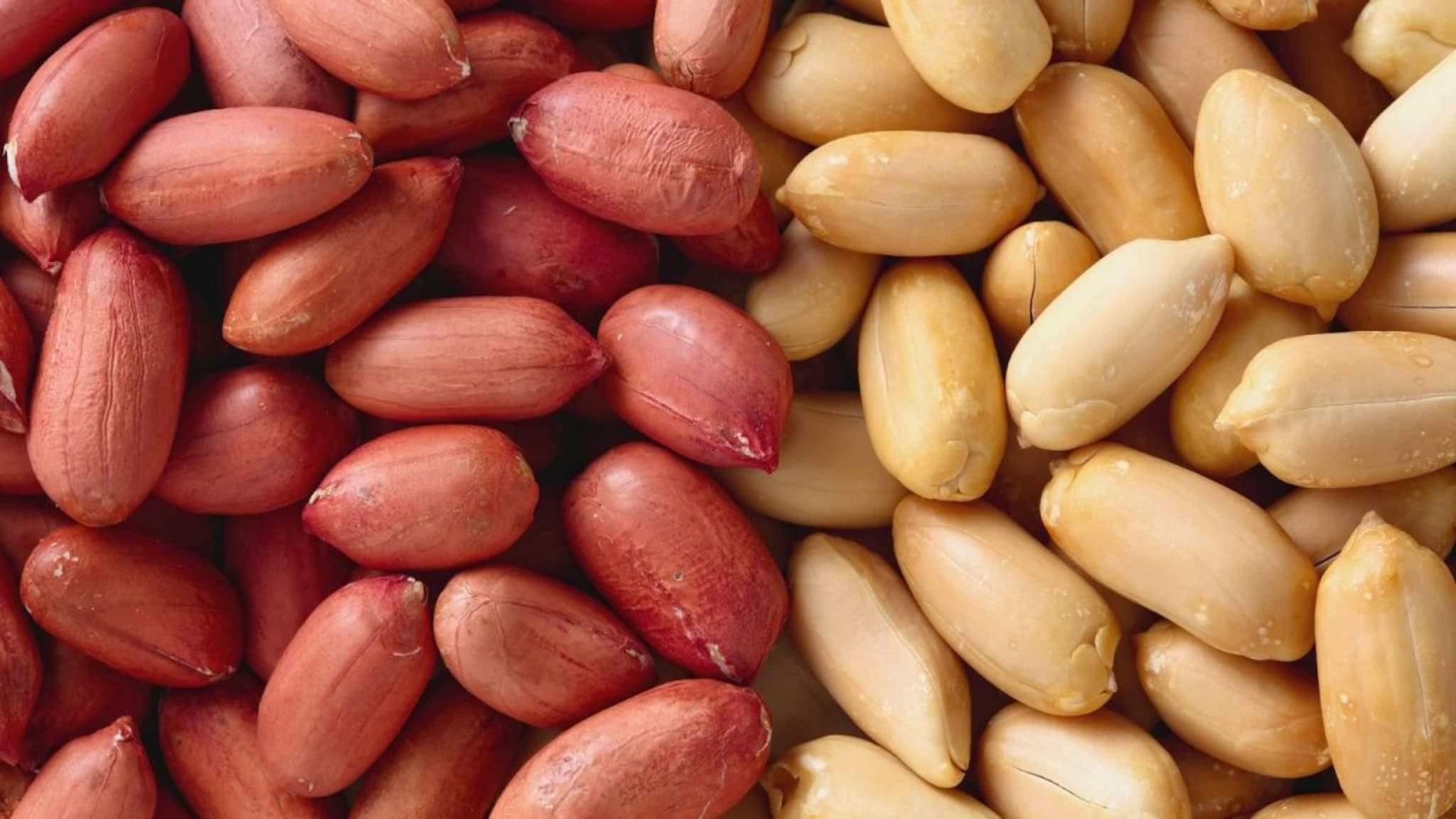 Peanut benefits : शेंगदाणे सालीसकट खाणं चांगलं सालीशिवाय? छोट्याशा बदलाने आरोग्याला होईल मोठा फायदा
