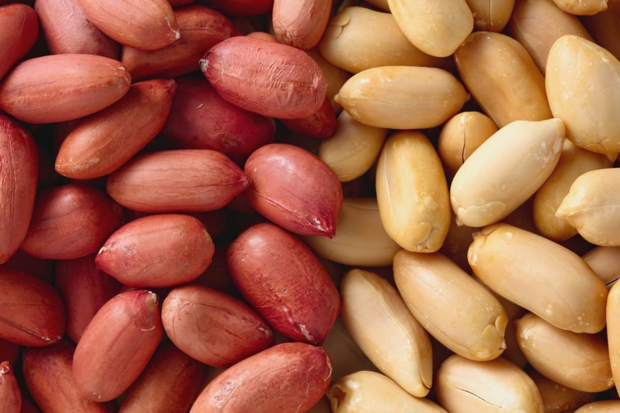 शेंगदाणे सालीसकट खाणं चांगलं सालीशिवाय? छोट्या बदलाने आरोग्याला होईल मोठा फायदा