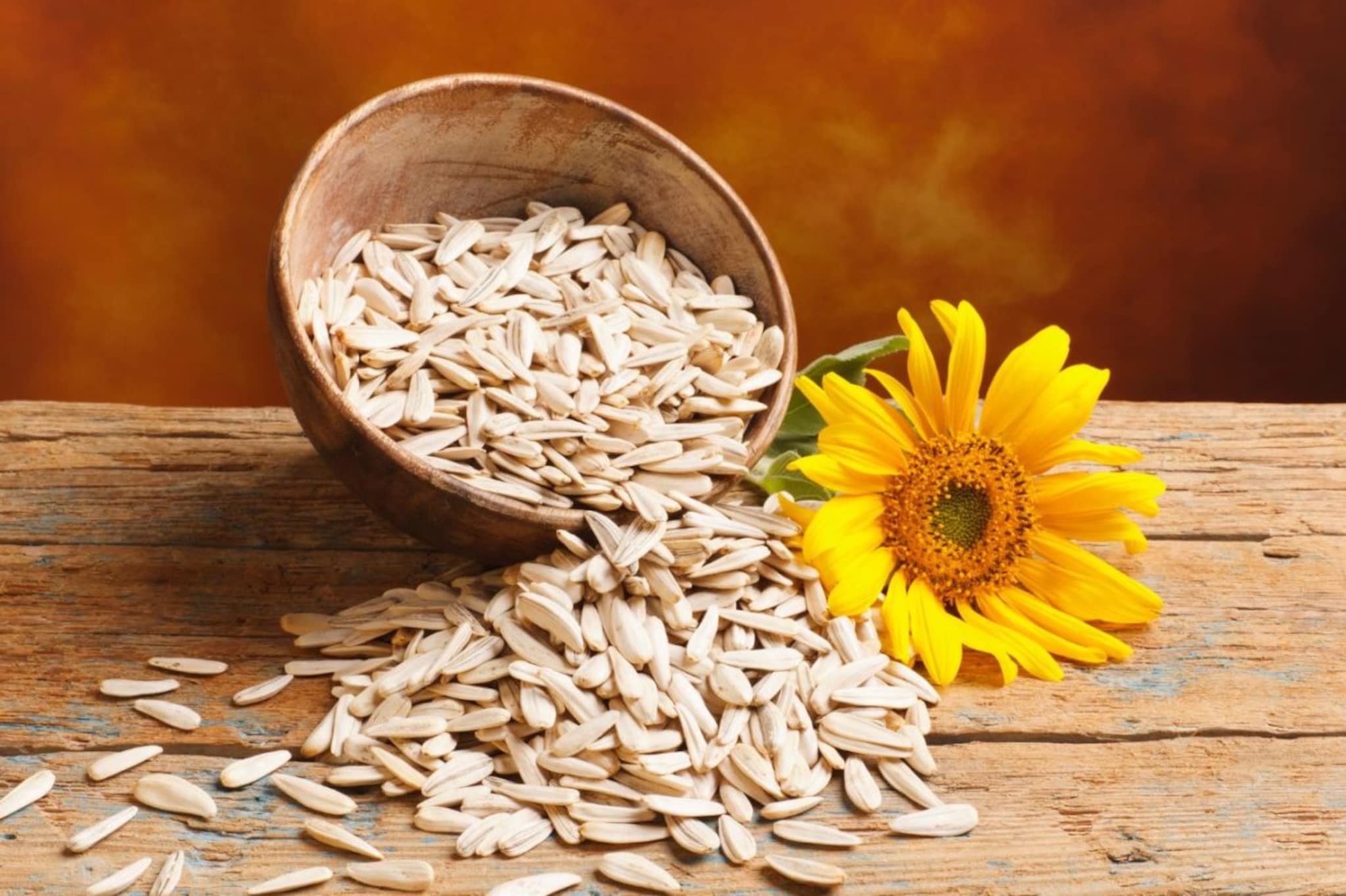 Skin Care : छोटा पॅक, बडा फायदा, वाचा या छोट्या बियांचे त्वचेसाठी मोठे फायदे Skin Care : छोटा पॅक, बडा फायदा, वाचा या छोट्या बियांचे त्वचेसाठी मोठे फायदे