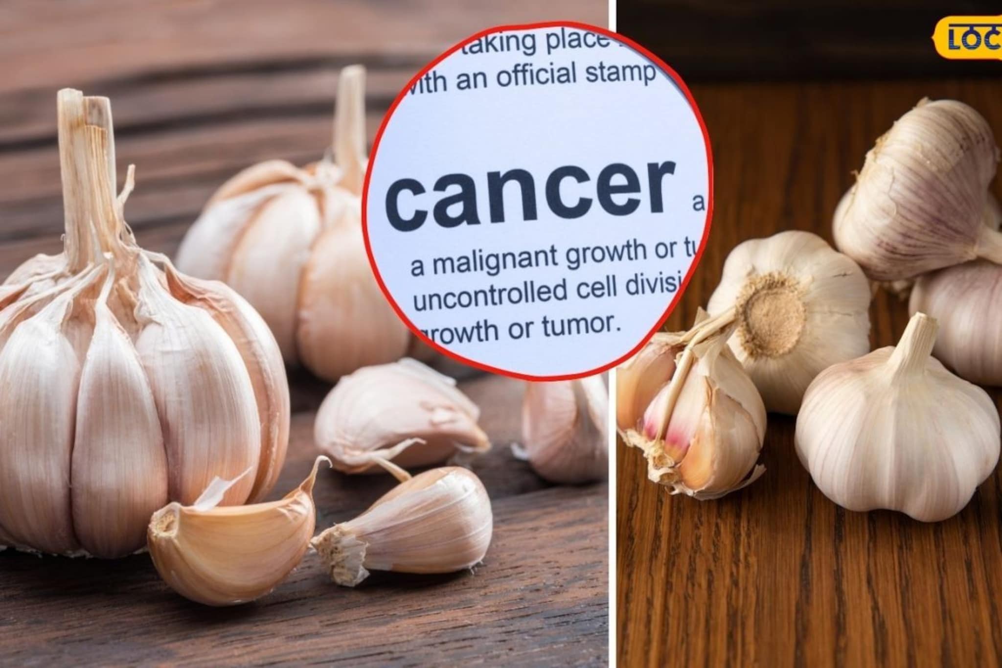 लसूण खरेदी करताना सावधान! 'चायनीज' लसणामुळे कर्करोगाचा धोका! तज्ज्ञांची माहिती