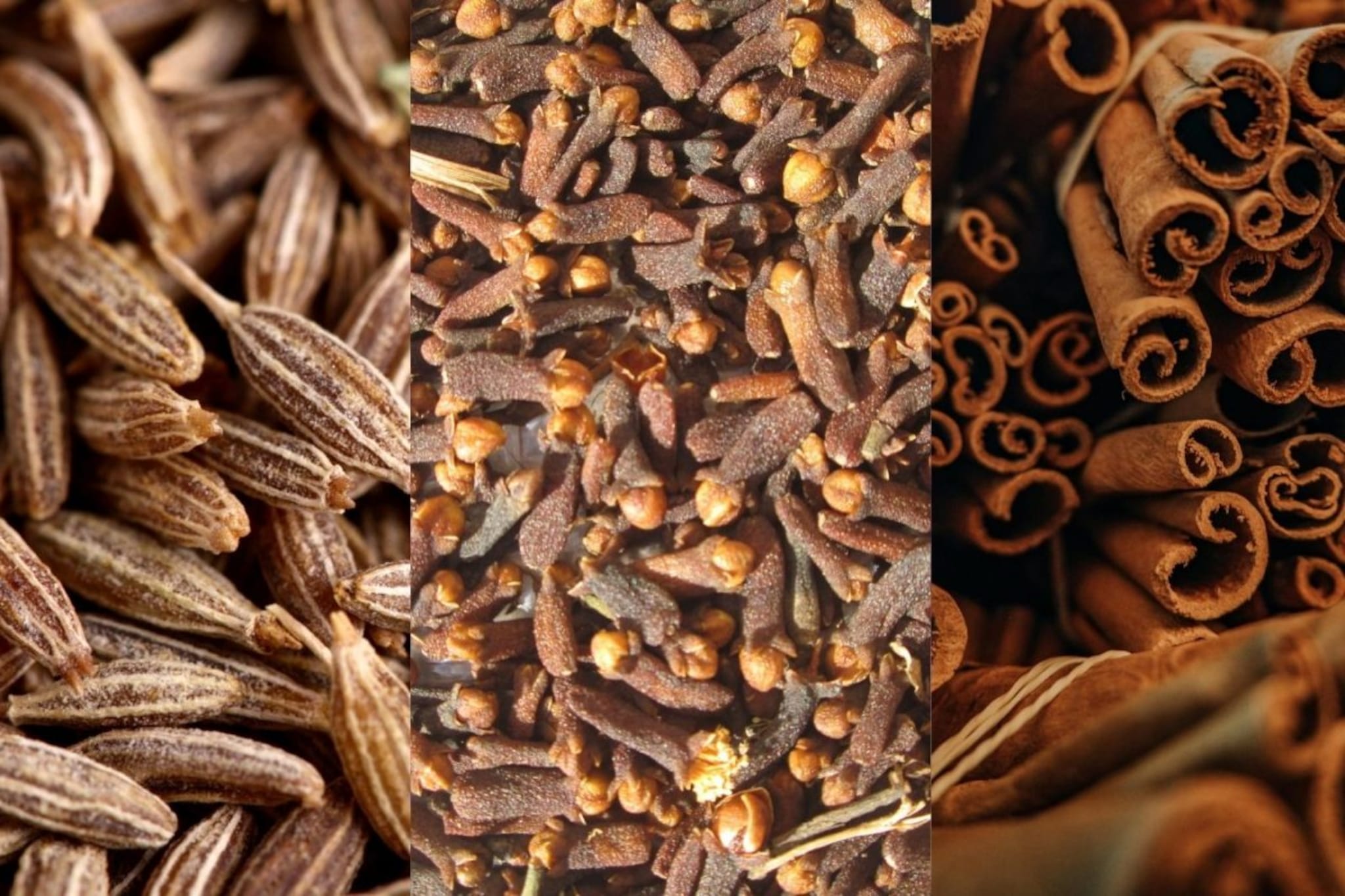 Weight loss drink : झटपट पटापट बनवा वेट लॉस ड्रिंक, पोट होईल कमी, वाटेल फ्रेश