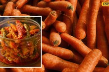 Gajar Lonche Recipe : घरी बनवा चटपटीत गाजराचं लोणचं! वाढवेल भूक आणि पचनशक्ती, पाहा सोपी रेसिपी
