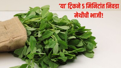 हिवाळा आला की पालक आणि मेथीसारख्या हिरव्या भाज्या बाजारातून स्वयंपाकघरात येऊ लागतात. थंडीच्या दिवसात मेथीचा सुगंध घरात पसरला नाही तर काहीतरी अपूर्ण वाटते. थंडीत मेथी आरोग्यासाठी अतिशय फायदेशीर ठरते.