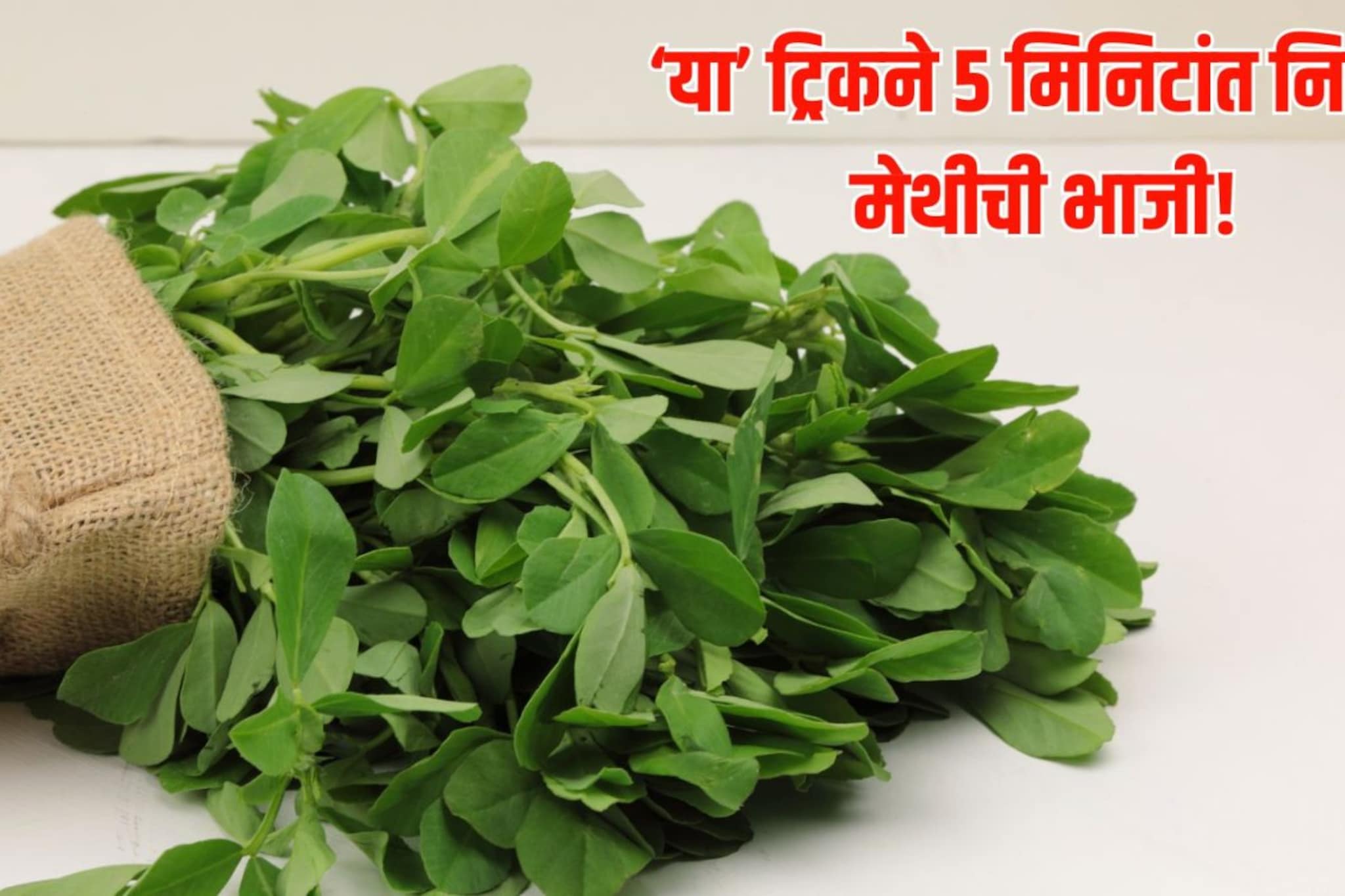 मेथी निसण्यासाठी खूप वेळ लागतो? 'या' युक्त्या वापरून पाहा, 5 मिनिटांत होईल काम!