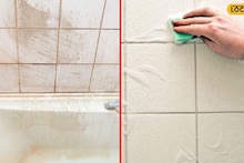 Cleaning Tips : महागडे क्लिनर सोडा; बाथरूमच्या टाइल्स कितीही घाण असो, या ट्रिकने 5 मिनिटांत चमकतील!