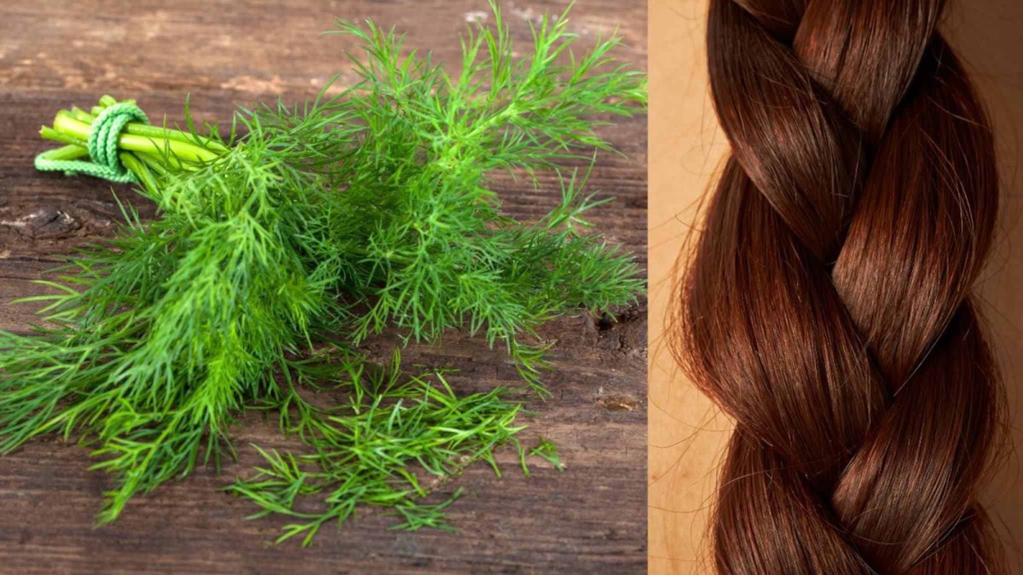 Hair Care : शेपूची भाजी केसांसाठी बेस्ट, प्रसिद्ध आहारतज्ज्ञ ऋजुता दिवेकरांनी केसांच्या समस्येवर दिलाय सूपर उपाय