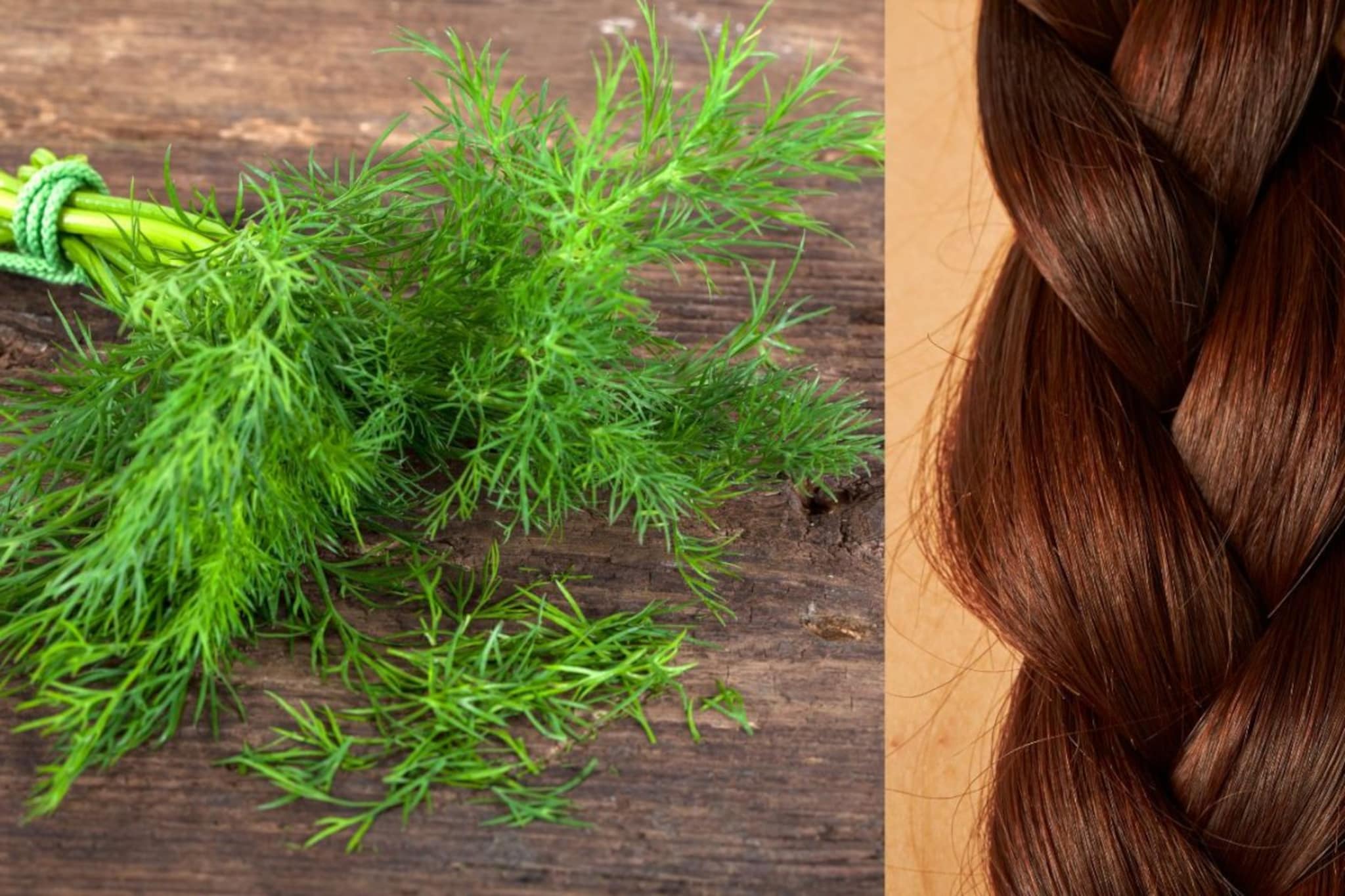 Hair Care : हिरवी भाजी करेल केसांवर जादू, ऋजुता दिवेकरांनी सांगितलंय सीक्रेट