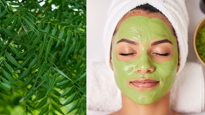 DIY Neem Face Mask: Get Rid of Pimples Naturally for Clear, Glowing Skin