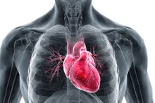 Heart Repair : आपल्या हृदयात आहे स्वतःला बरं करण्याची क्षमता, संशोधकाच्या अभ्यासातून महत्त्वाचा खुलासा