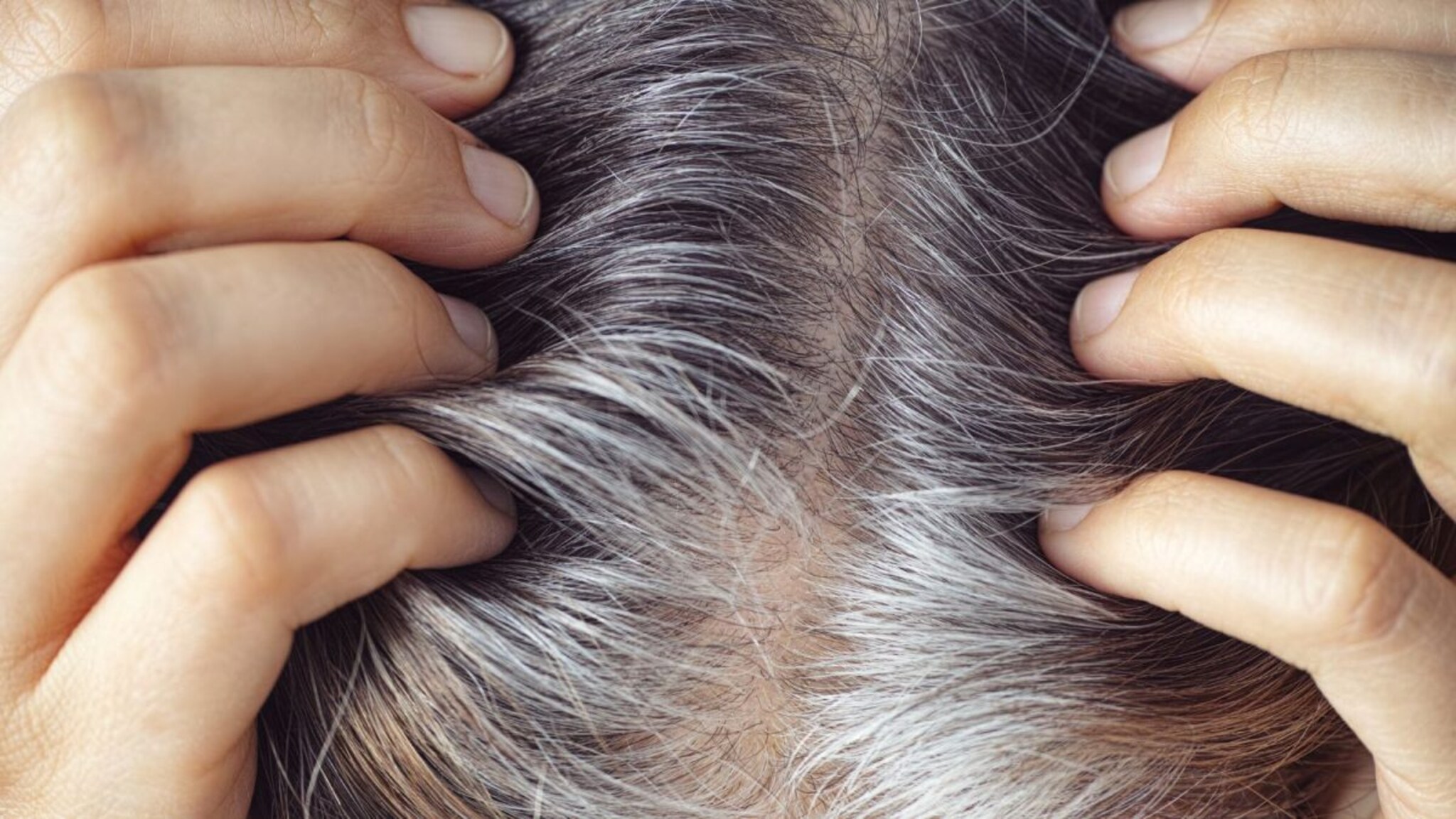 White Hair : सेल्युलर एजिंग म्हणजे काय ? सेल्युलर एजिंगमुळे प्रकृतीवर काय परिणाम होतो ?