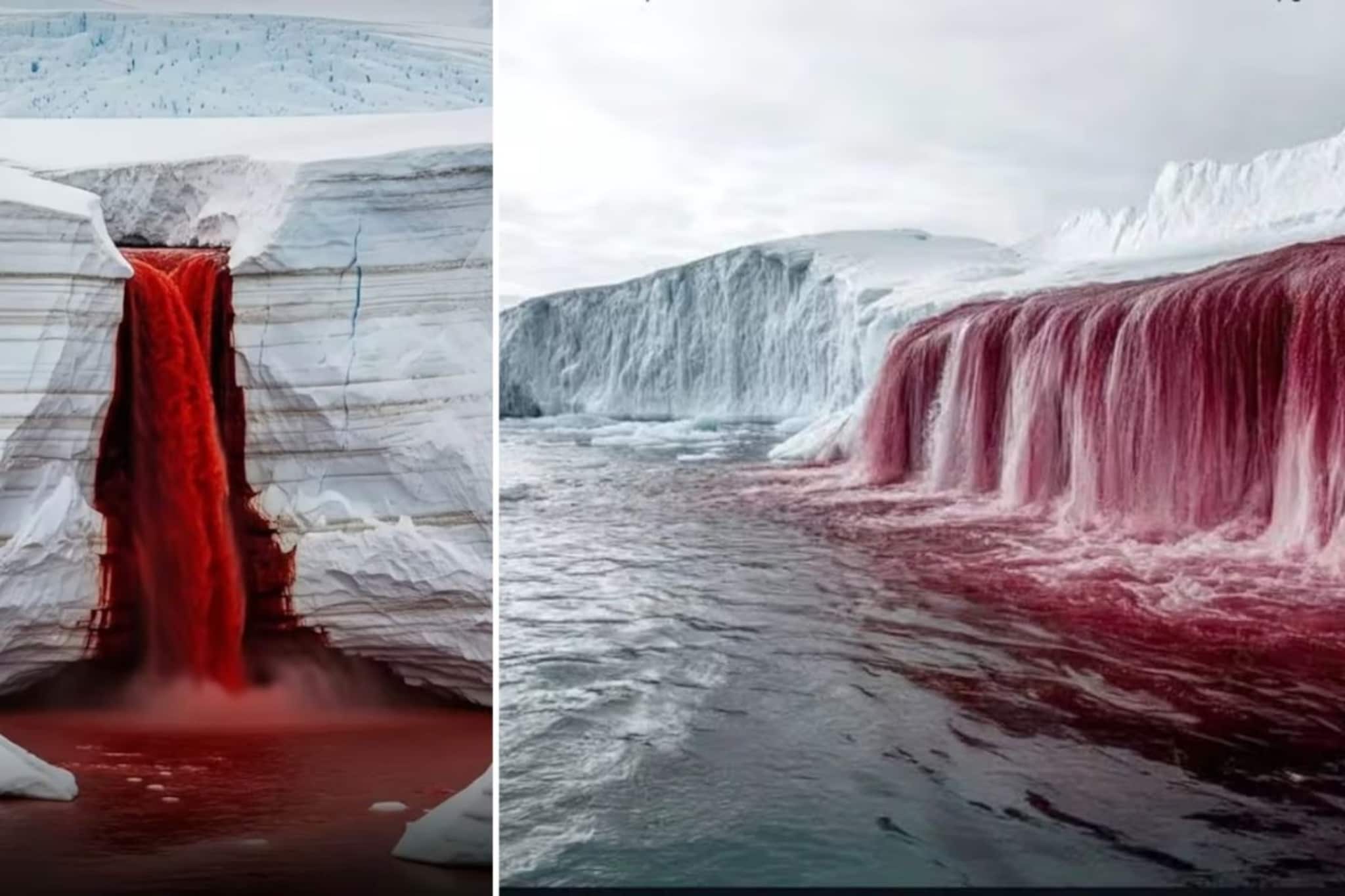 अंटार्कटिकाच्या पांढऱ्या बर्फात वाहतो रक्ताचा झरा? काय आहे लाल पाण्याचे रहस्य?