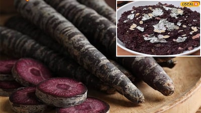 Disclaimer : या बातमीत दिलेली माहिती आणि सल्ला तज्ञांशी झालेल्या संभाषणांवर आधारित आहे. ही सामान्य माहिती आहे, वैयक्तिक सल्ला नाही. म्हणून कोणत्याही सल्ल्याचे अनुसरण करताना तज्ज्ञांचा सल्ला घ्यावा. कोणतेही नुकसान झाल्यास त्यासाठी लोकल-18 जबाबदार राहणार नाही.