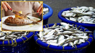 फॉर्मेलिनमुळे होऊ शकतात हे जीवघेणे आजार.. फॉर्मेलिनमुळे होऊ शकतात हे जीवघेणे आजार..