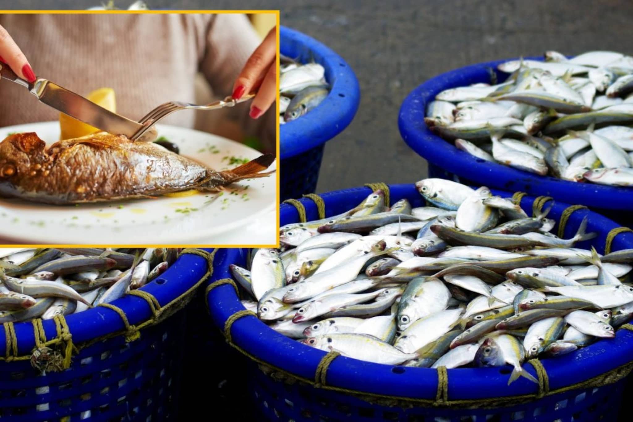 ताज्या माशांवर असू शकतं जीवघेणं केमिकल! खाण्यापूर्वी या पद्धतीने स्वच्छ करा!